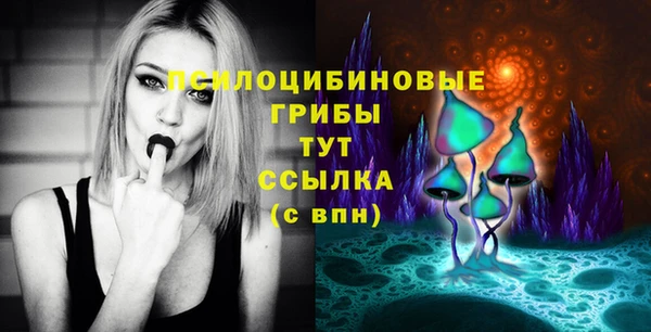 ешки Зерноград