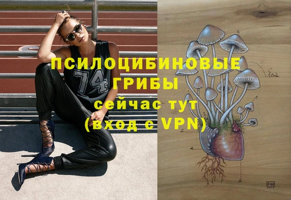ешки Зерноград